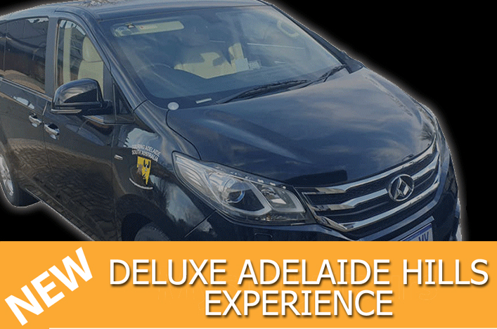 deluxe-adelaide-hills-tour